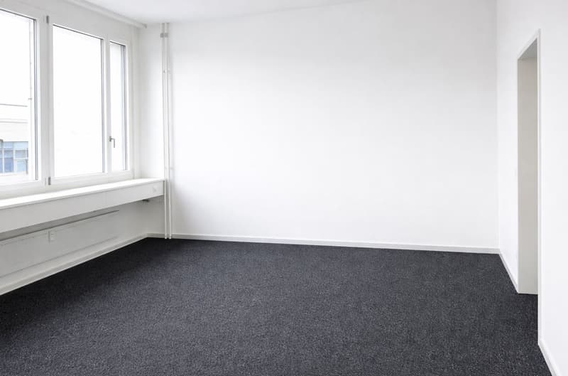 Espace de bureau attractif à Allschwil – lumineux, moderne et idéalement situé (5)