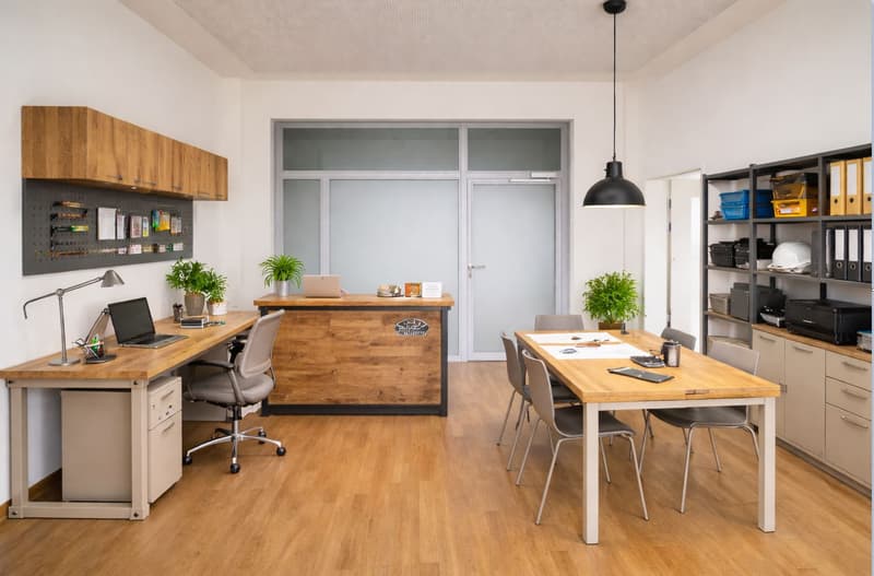 Uffici luminosi con charme ? Lavorare in una posizione tranquilla di prima scelta (12)