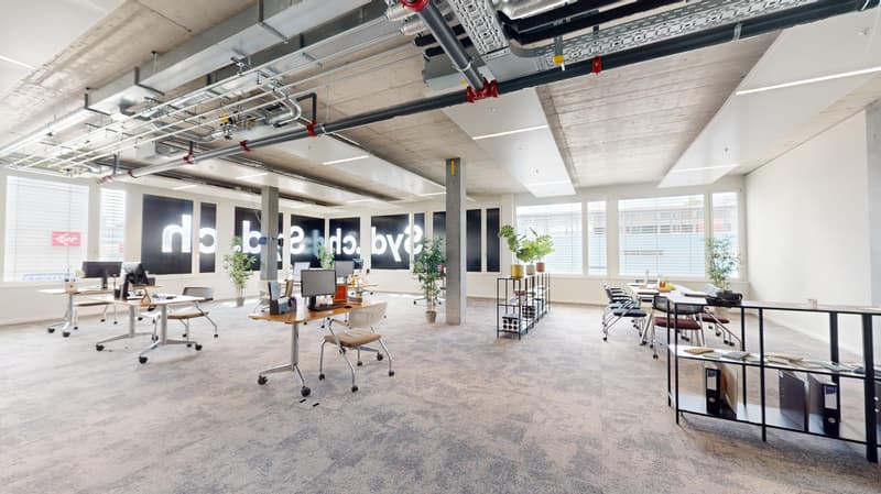 Plug & Play-Büroflächen im SyD - sofort einziehen und loslegen (3)