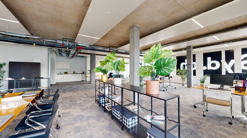 Plug & Play-Büroflächen im SyD - sofort einziehen und loslegen (4)