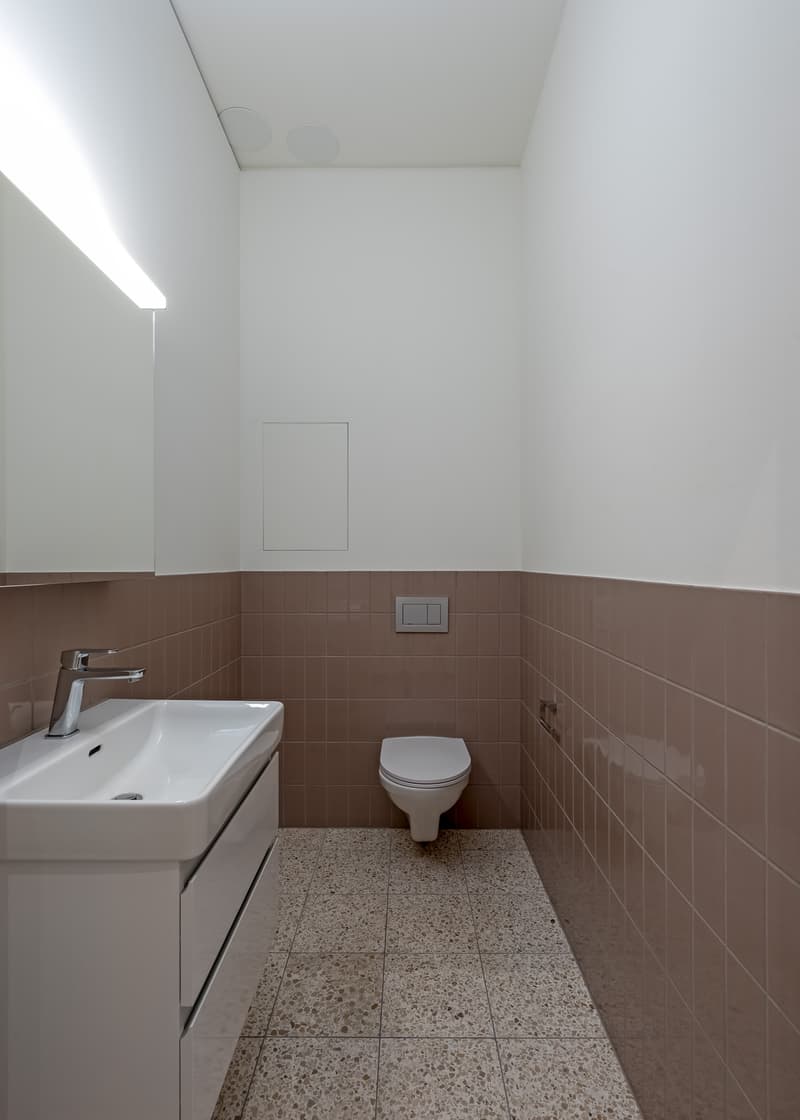 Appartamento moderno direttamente al Dreispitz (6)