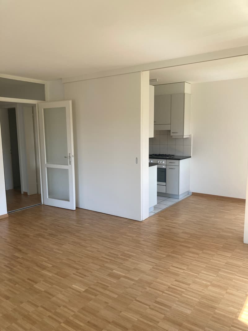 Cercasi subaffittuario - appartamento attraente di 3,5 locali (2)