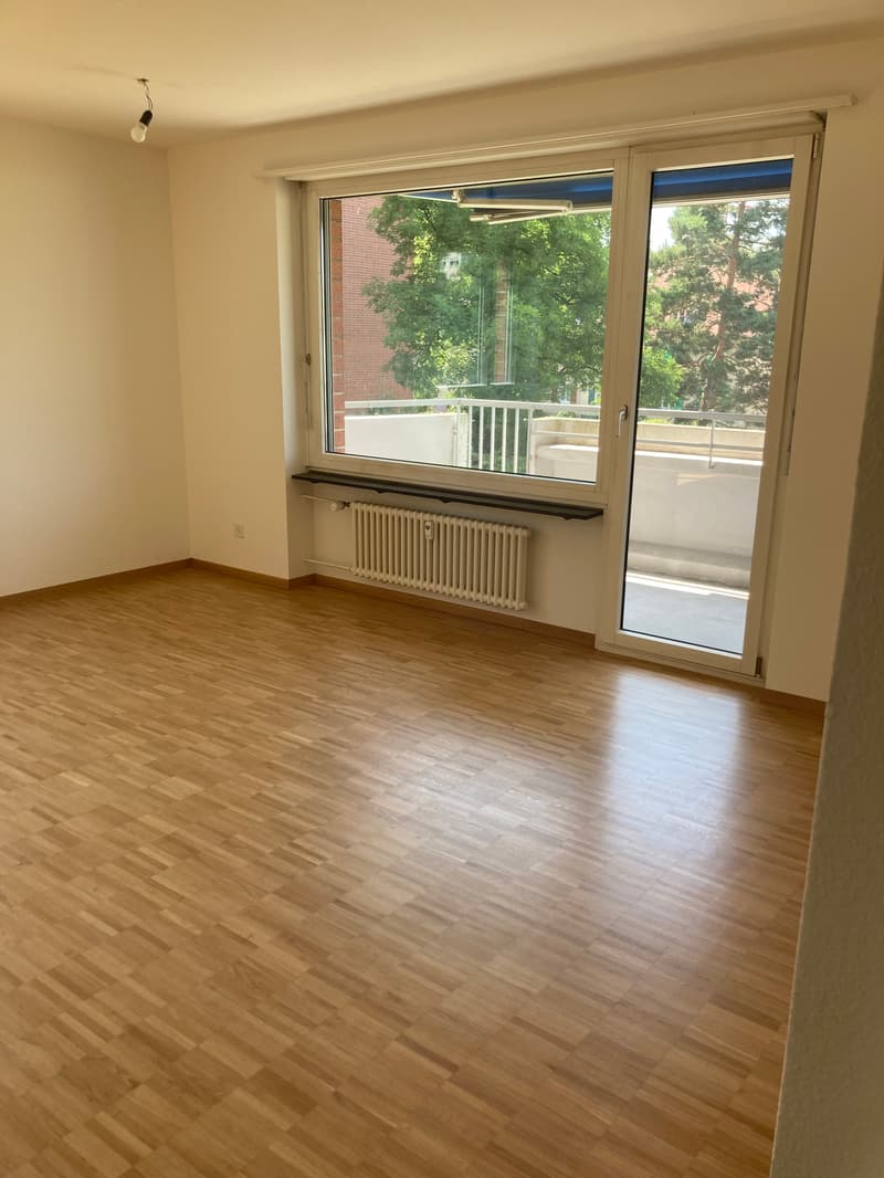 Cercasi subaffittuario - appartamento attraente di 3,5 locali (4)