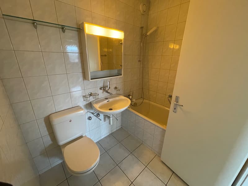 Temporary Living - New Tenants Wanted (11)