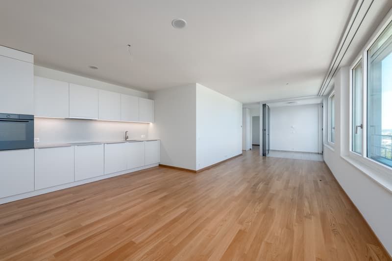 Moderne 1.5-Zimmerwohnung am Dreispitz - Nachmieter gesucht (2)