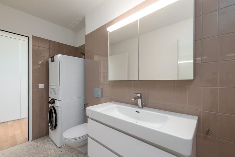 Moderne 1.5-Zimmerwohnung am Dreispitz - Nachmieter gesucht (6)