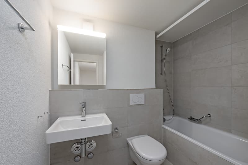 Nachmieter gesucht - sanierte Wohnung im Iselin-Quartier (6)