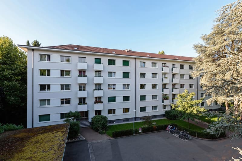Nachmieter gesucht - sanierte Wohnung im Iselin-Quartier (1)