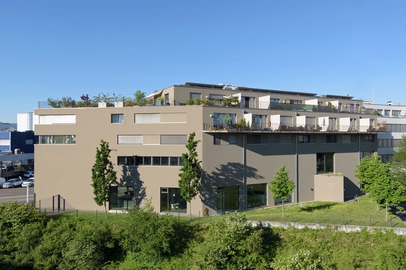 3-Zimmer-Maisonettewohnung am Dreispitz (1)