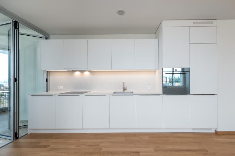 Moderne Wohnung direkt am Dreispitz (3)