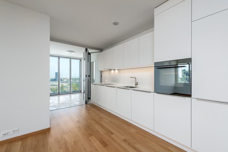 Moderne Wohnung direkt am Dreispitz (2)