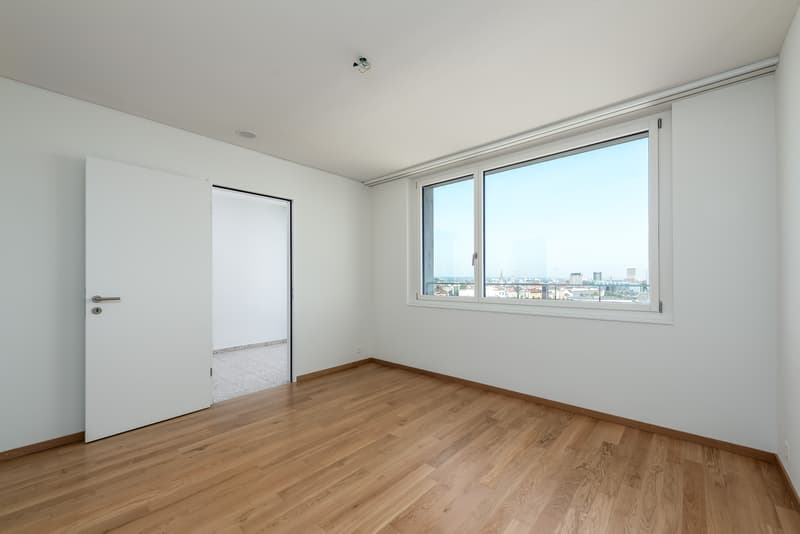 Moderne Wohnung direkt am Dreispitz (6)