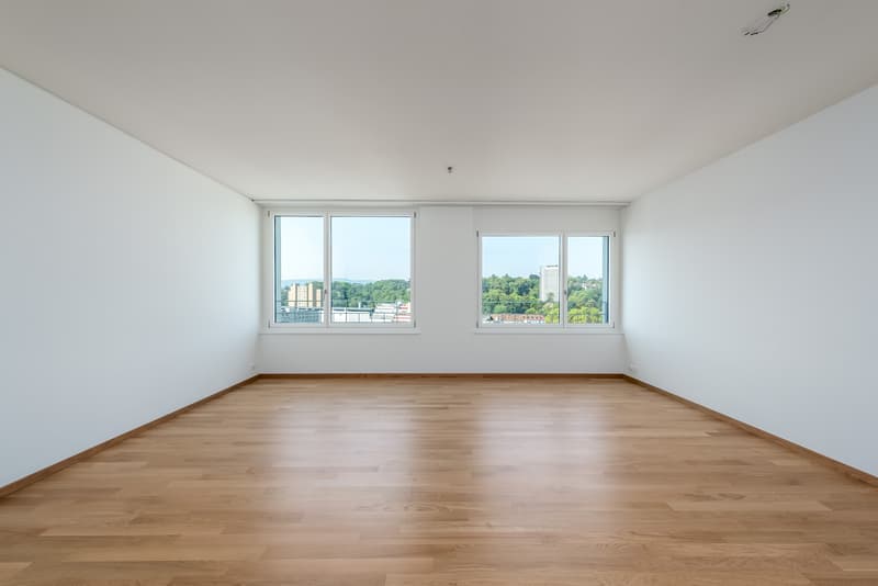 Moderne Wohnung direkt am Dreispitz (4)