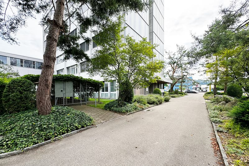 A paved driveway with trees and bushes leading to a white building with glass windows
