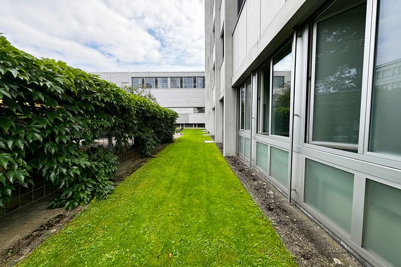 Spazio ufficio/commerciale moderno esteso sull'asse principale di Winterthur (17)