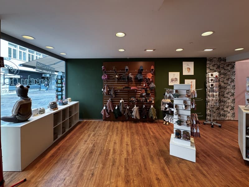 The room features wooden floors, green walls, and a display of bags, clothes, and toys. There is a counter with shelves and storage boxes on the left and a rack with hanging items in the middle. The right side has a small shelf with figurines and a pictur