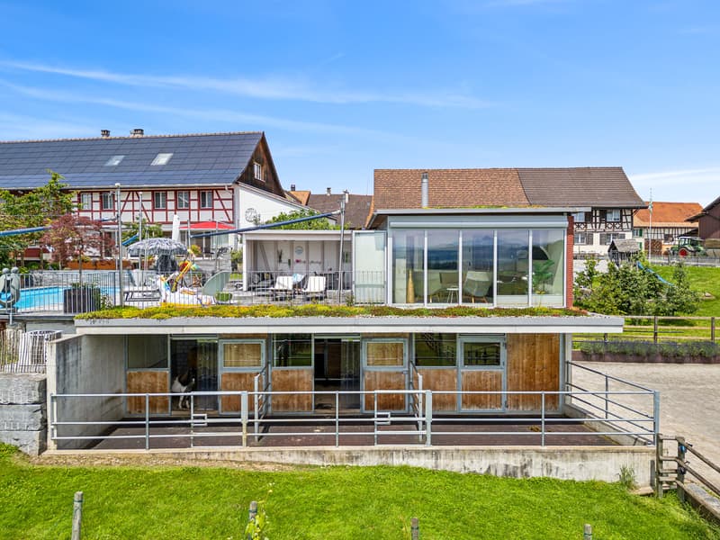Modern architectural house, rooftop terrace, large windows, concrete foundation, surrounding garden