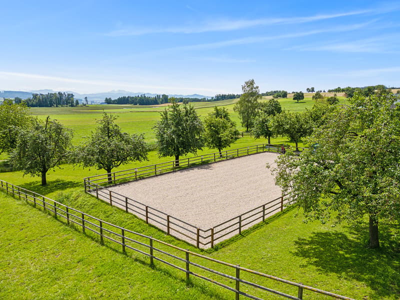 green field, fenced area, trees, clear sky