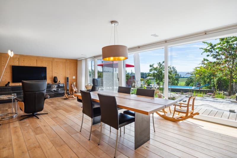 dining table, chairs, TV, speaker, pendant light, wooden flooring, large glass windows, garden view