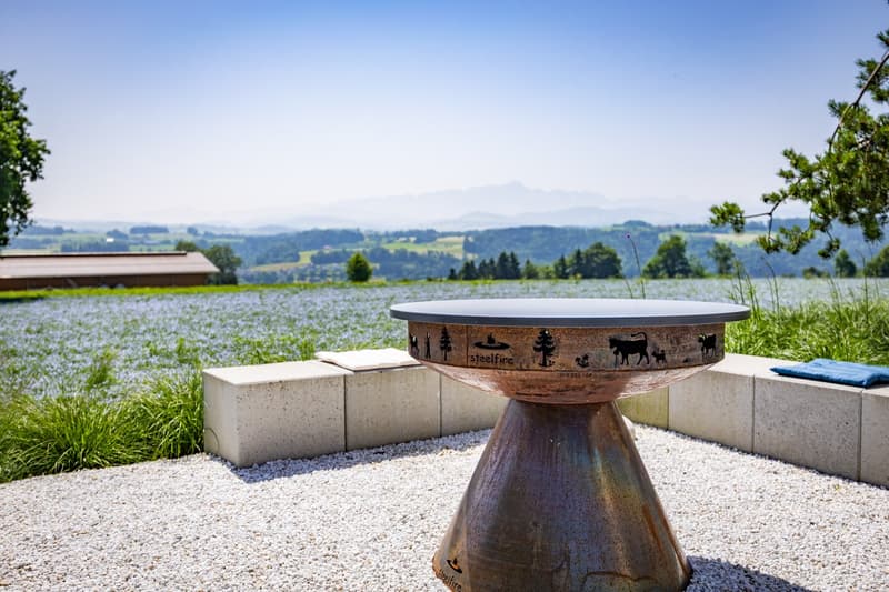exklusives Einfamilienhaus mit Poolanlage an faszinierender Wohnlage mit Ausblick bis zum Säntis (5)