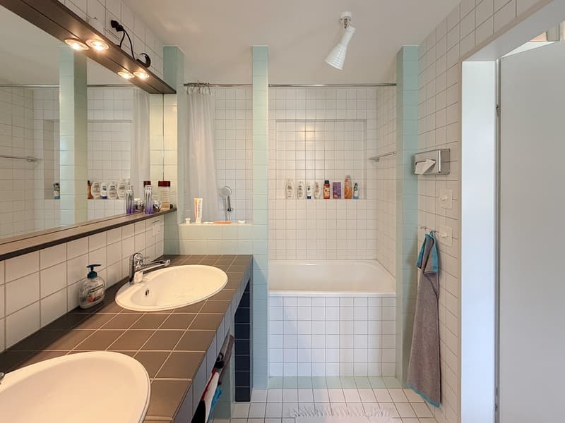 Vie urbaine : appartement-maisonnette 3,5 pièces dans un parc privé (9)