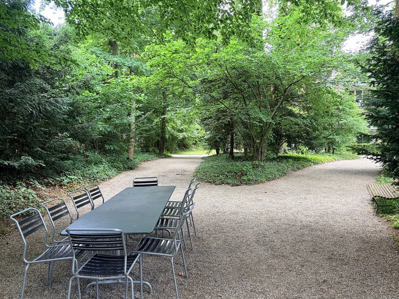 Vie urbaine : appartement-maisonnette 3,5 pièces dans un parc privé (10)