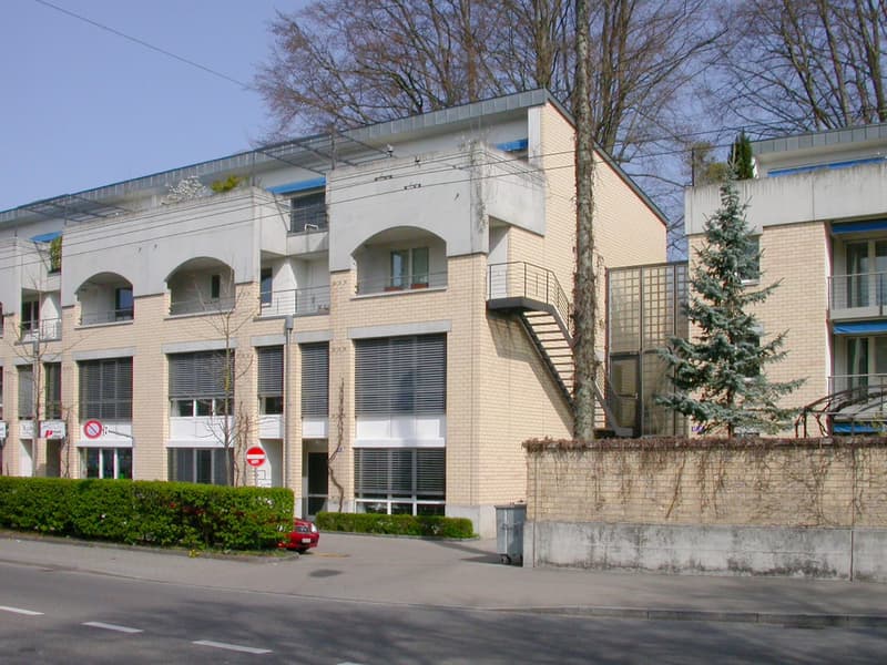 Vie urbaine : appartement-maisonnette 3,5 pièces dans un parc privé (2)
