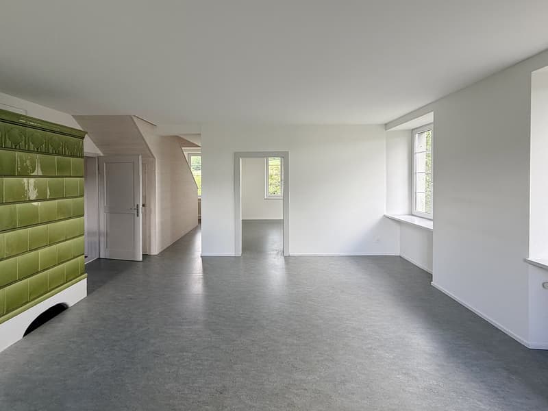 Affitto intermedio: Appartamento spazioso 5.5 locali con molta privacy in un ambiente verde (2)