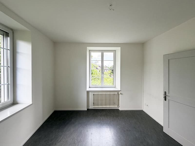 Affitto intermedio: Appartamento spazioso 5.5 locali con molta privacy in un ambiente verde (5)