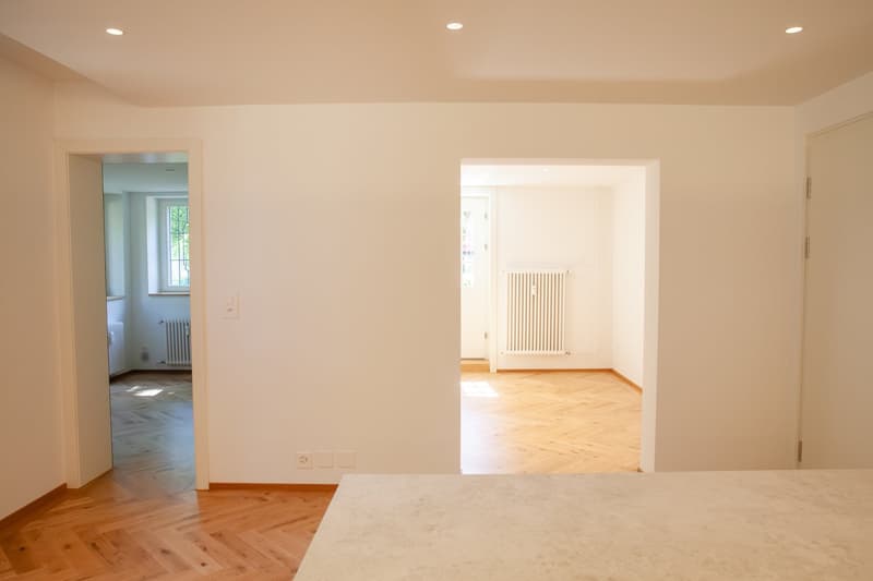 Erstvermietung: Repräsentative 3 ½-Zimmerwohnung mit eigenem Garten in historischer Zürichbergvilla (7)