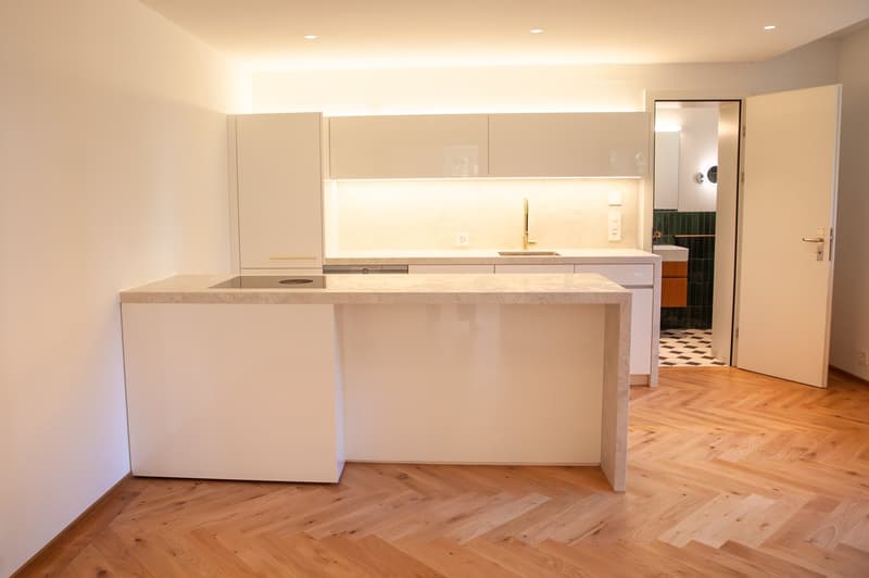 Erstvermietung: Repräsentative 3 ½-Zimmerwohnung mit eigenem Garten in historischer Zürichbergvilla (4)