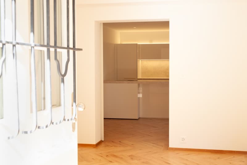 Erstvermietung: Repräsentative 3 ½-Zimmerwohnung mit eigenem Garten in historischer Zürichbergvilla (3)