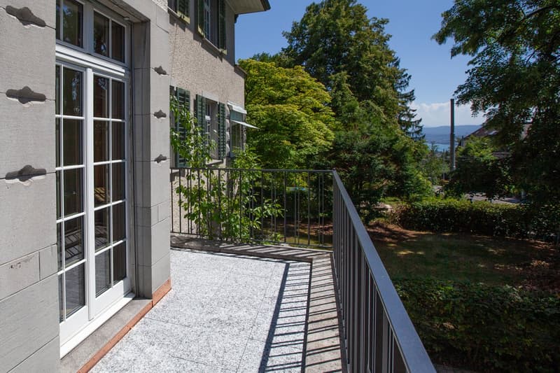 Erstvermietung: Repräsentative 4 ½-Zimmerwohnung mit eigenem Garten in historischer Zürichbergvilla (12)
