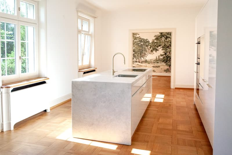 Erstvermietung: Repräsentative 4 ½-Zimmerwohnung mit eigenem Garten in historischer Zürichbergvilla (8)