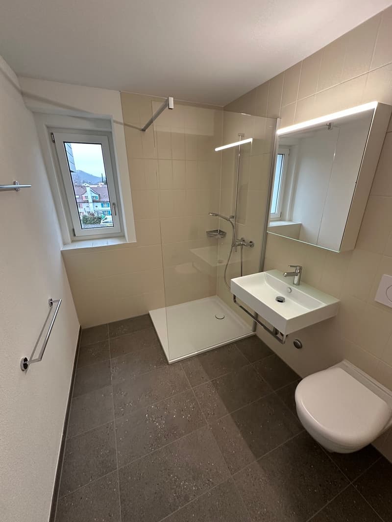 Modern 2.5-room apartment in central location (7)