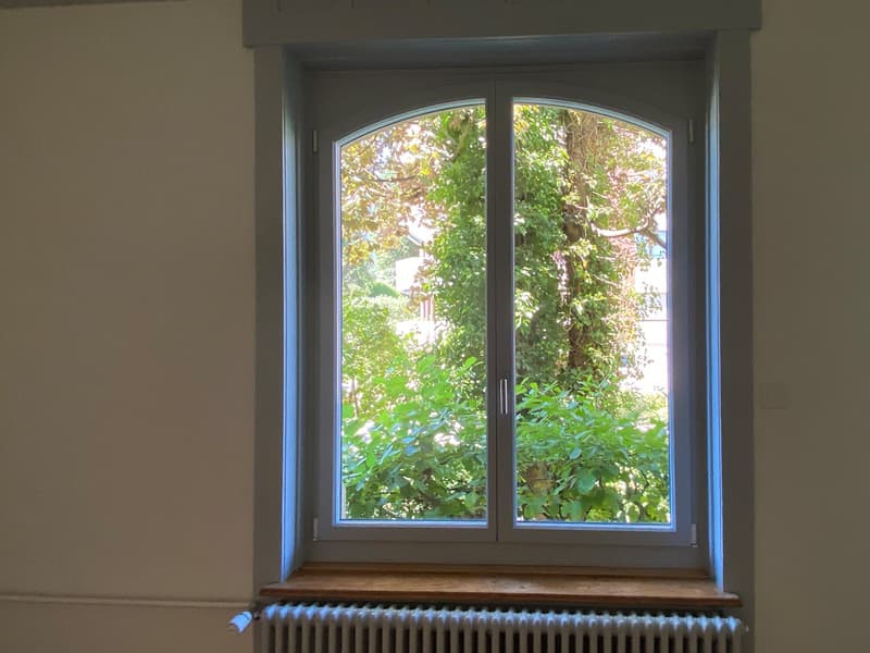 Beautifully renovated 3-room apartment on the ground floor in St. Gallen (6)