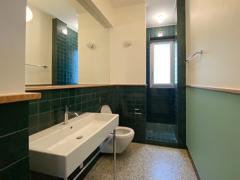 Beautifully renovated 3-room apartment on the ground floor in St. Gallen (7)