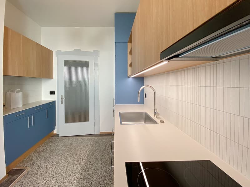 Beautifully renovated 3-room apartment on the ground floor in St. Gallen (1)