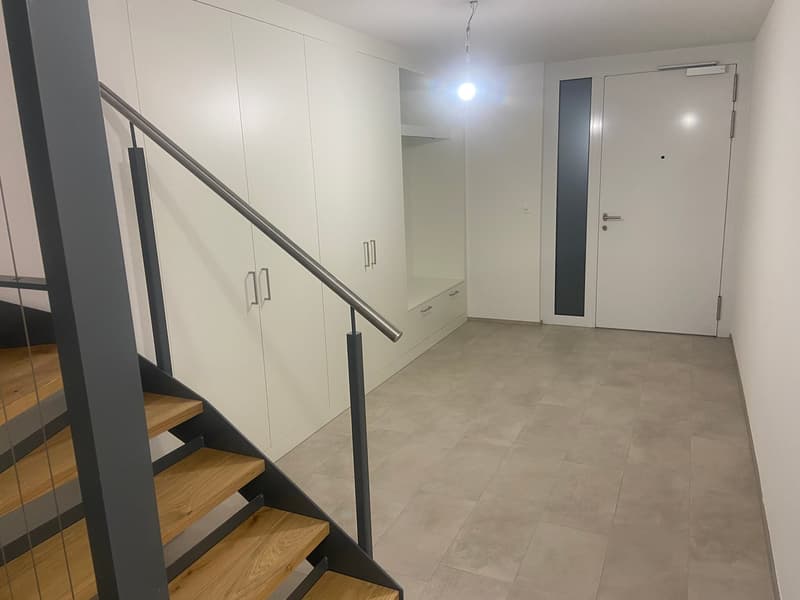 4.5-Zimmer-Doppeleinfamilienhaus an einzigartiger Hanlage (17)