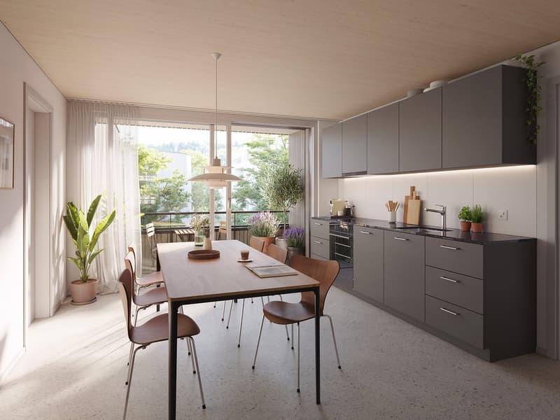 Erstvermietung: 4.5 Zimmer-Wohnungen (2)