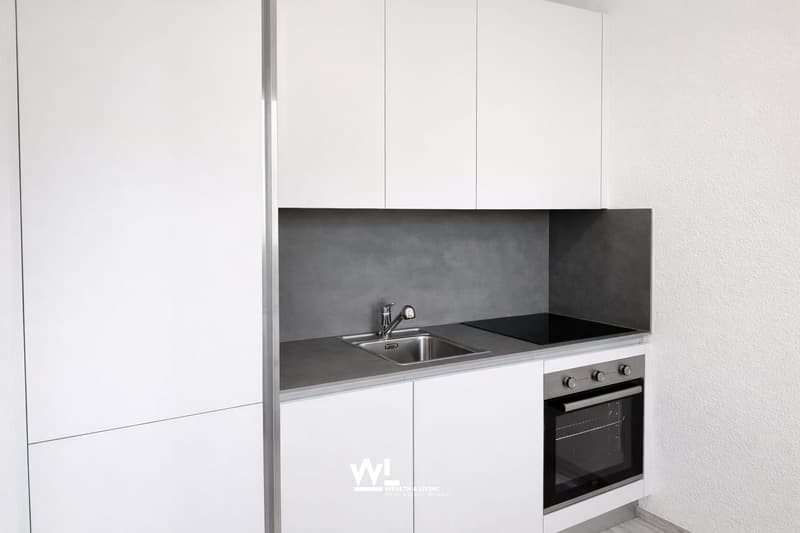 Appartement 2.5 pièces, fraîchement rénové, situé au centre de Losone (3)