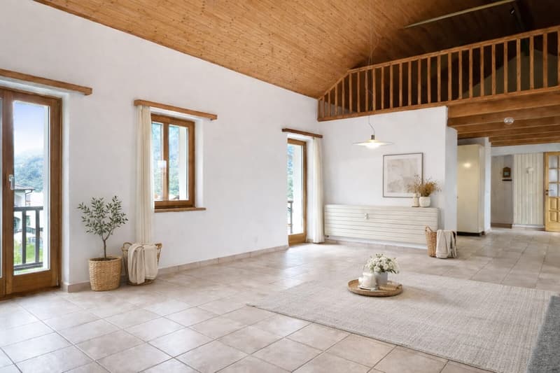 6-Zi.-Attika-Duplex mit Garten, Lift und Dachboden in Losone - hell und grosszügig (1)