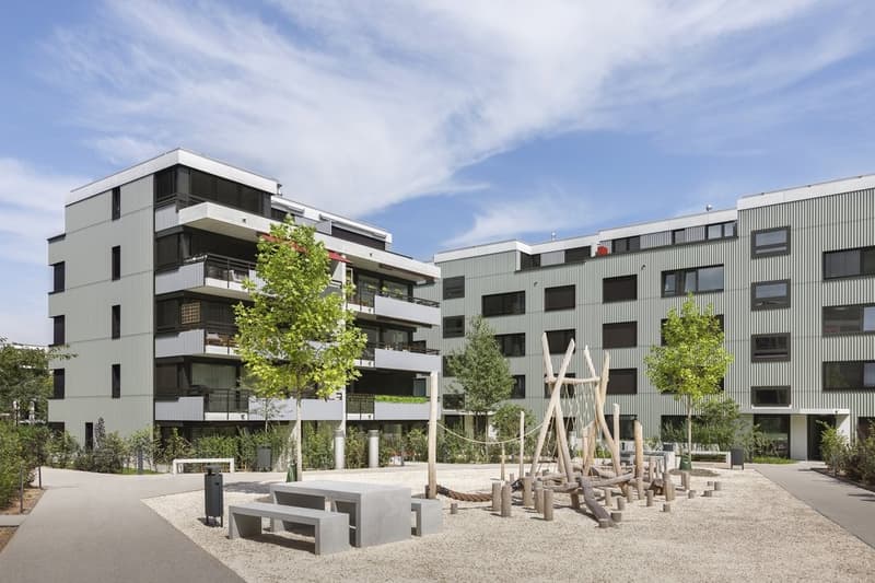 Neubau Letzigraben in 8047 Zürich