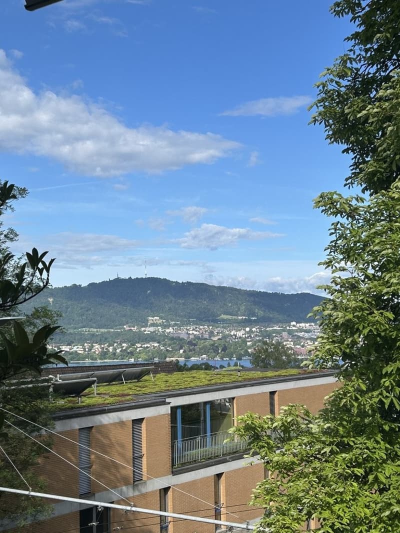 Aussicht - Zürich See