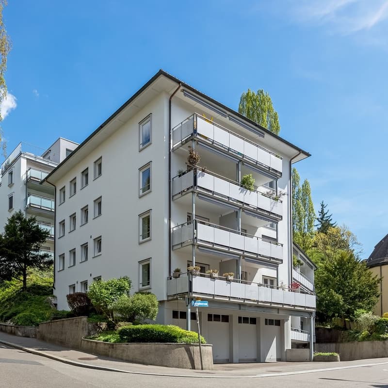 Schulhausstrasse 53