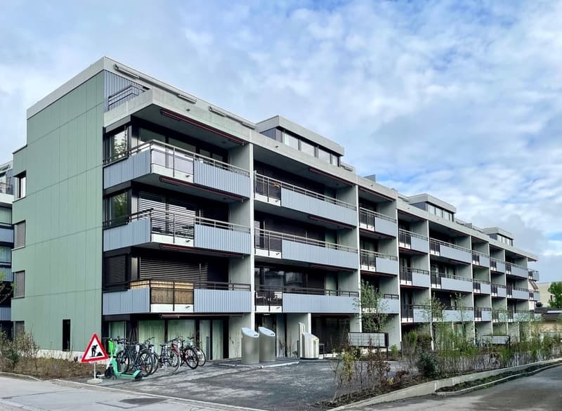 Langgrütstrasse 100, 8047 Zürich