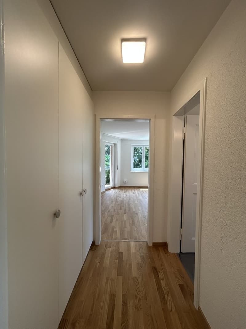 Durchgang Küche/Wohnzimmer mit Einbauschränke