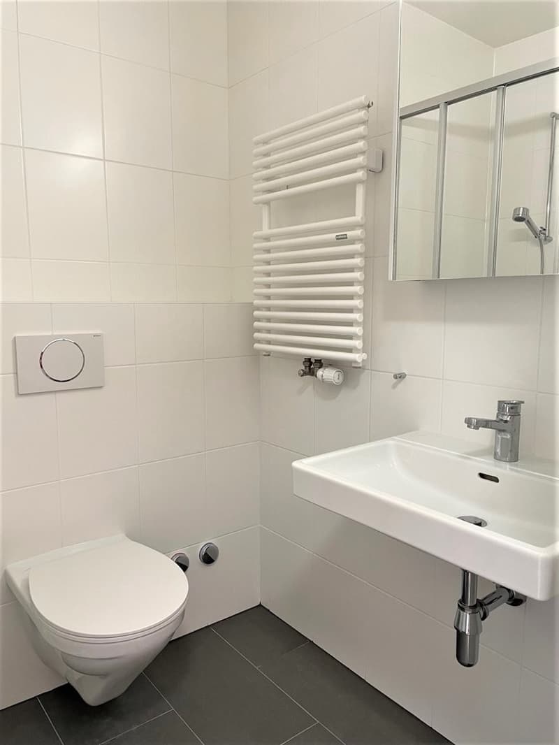 Salle de douche.jpg