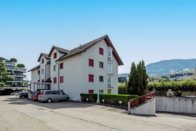 Aussenansicht inkl. Garageneinfahrt