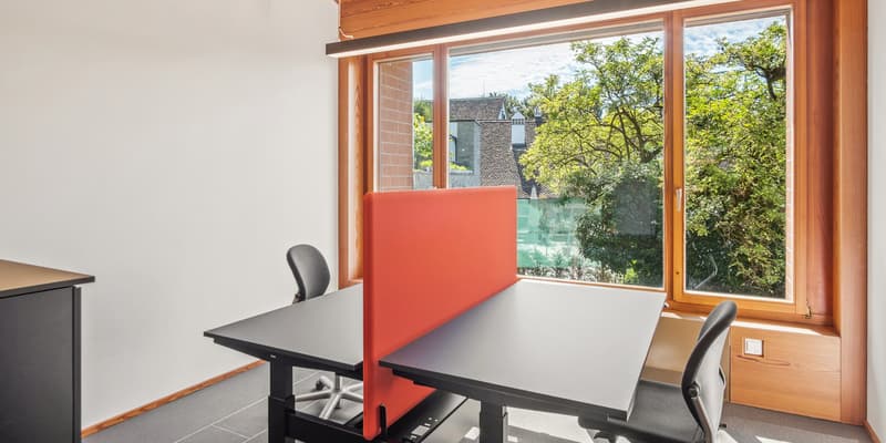 Coworking-Büro - 8702 Zollikon